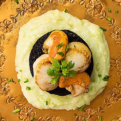 YRSFood Oswestry Food Editorial Photographer Seafood & Shellfish Example 13